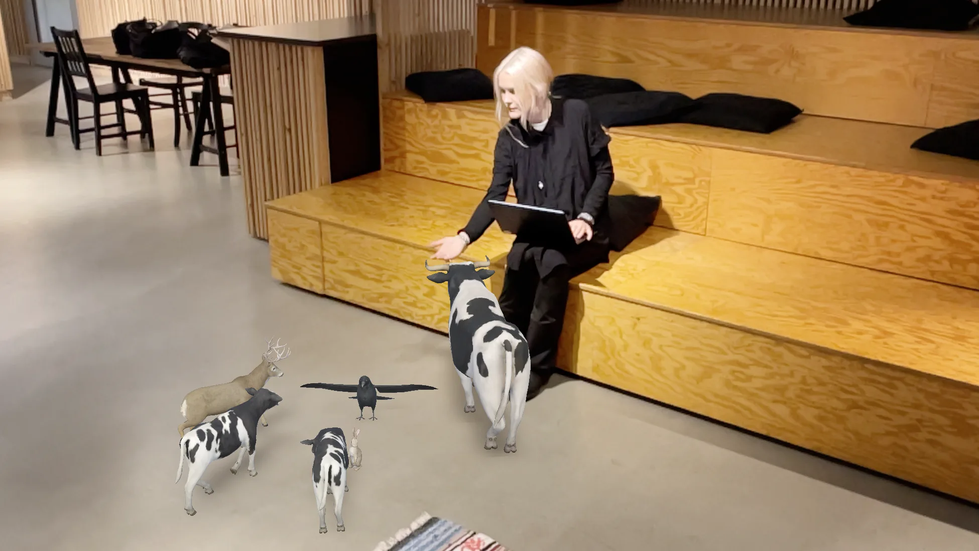 Virtual cows, a horse and birds walking on the studio floor in AR