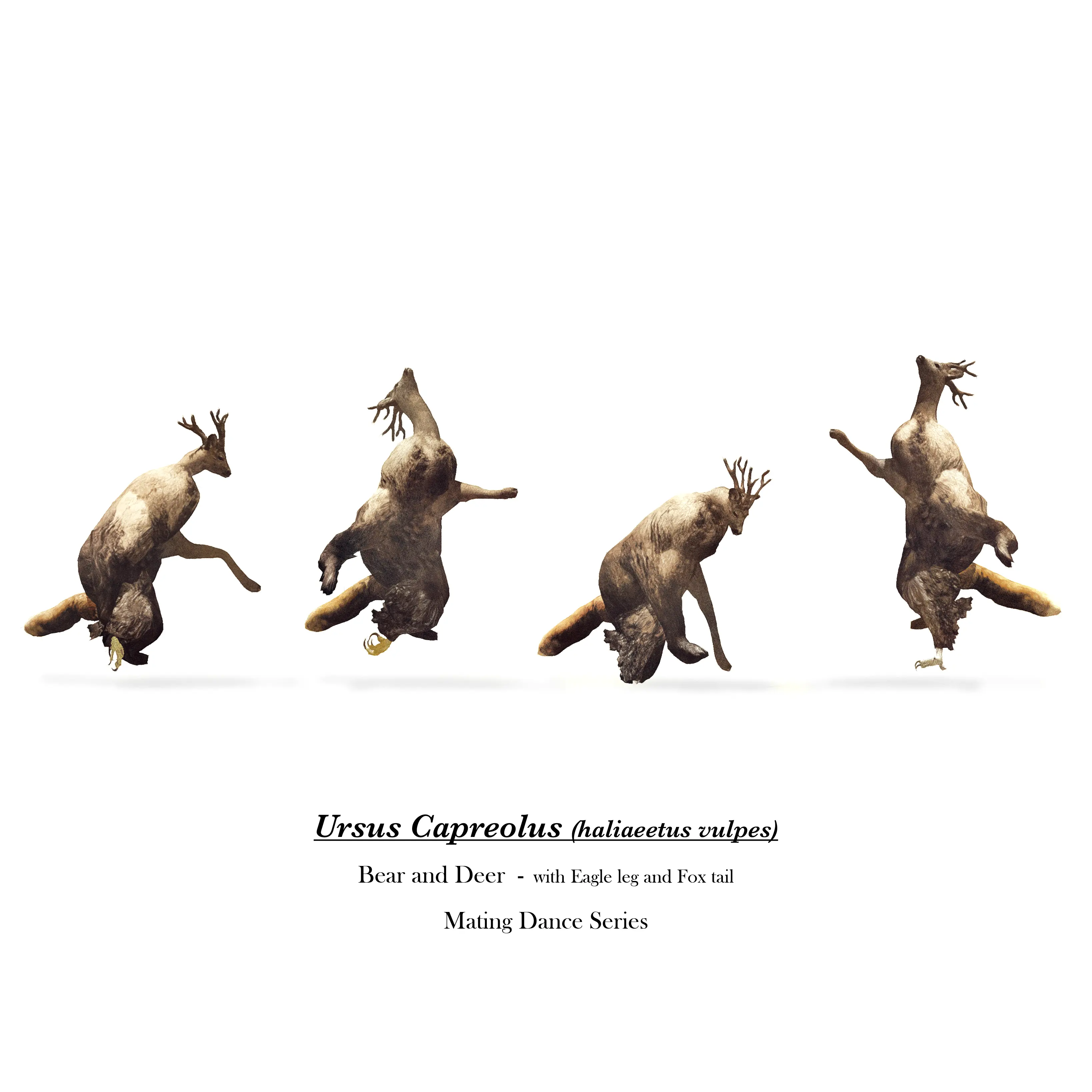 Bear with deer head from Future Fauna