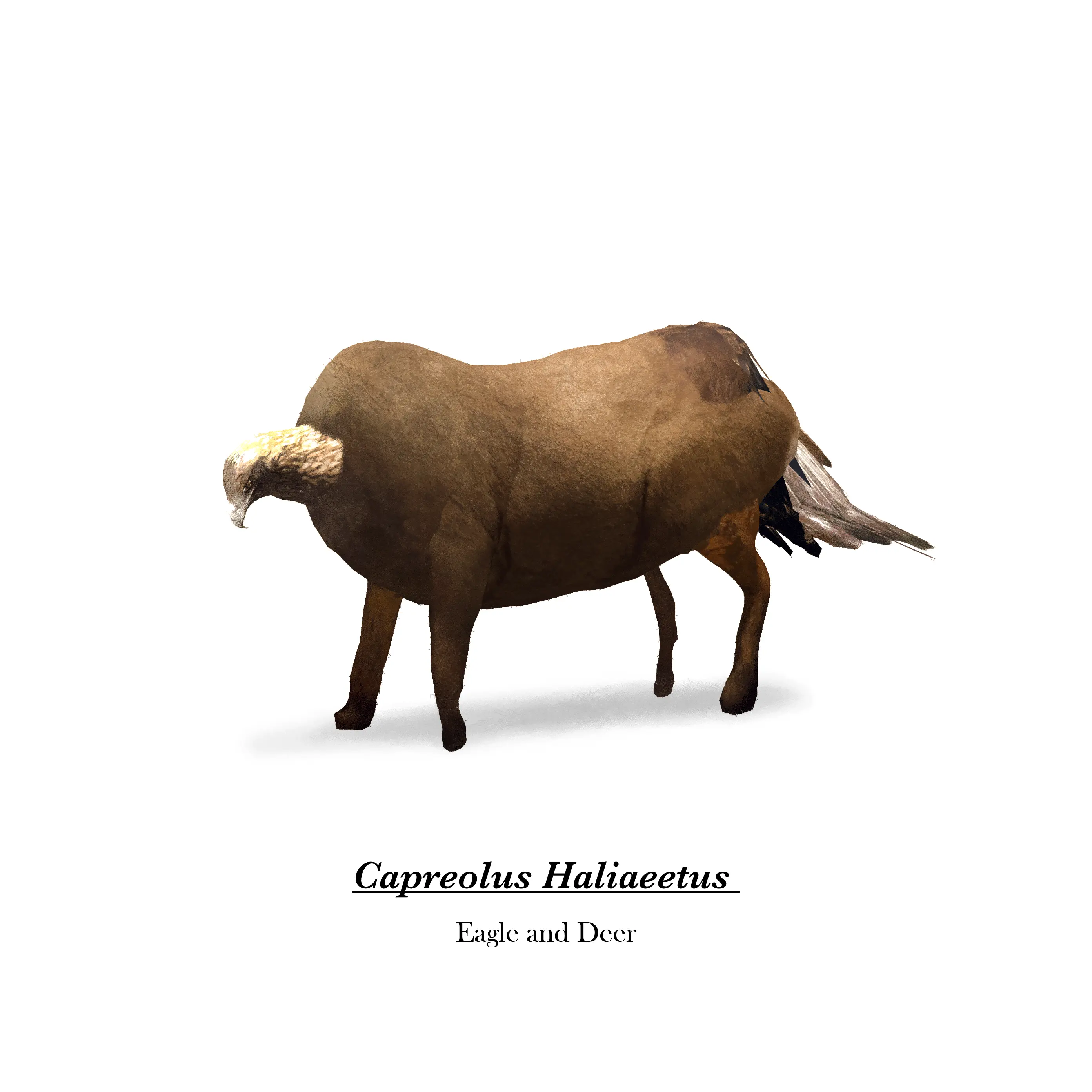 Eagle with moose body from Future Fauna