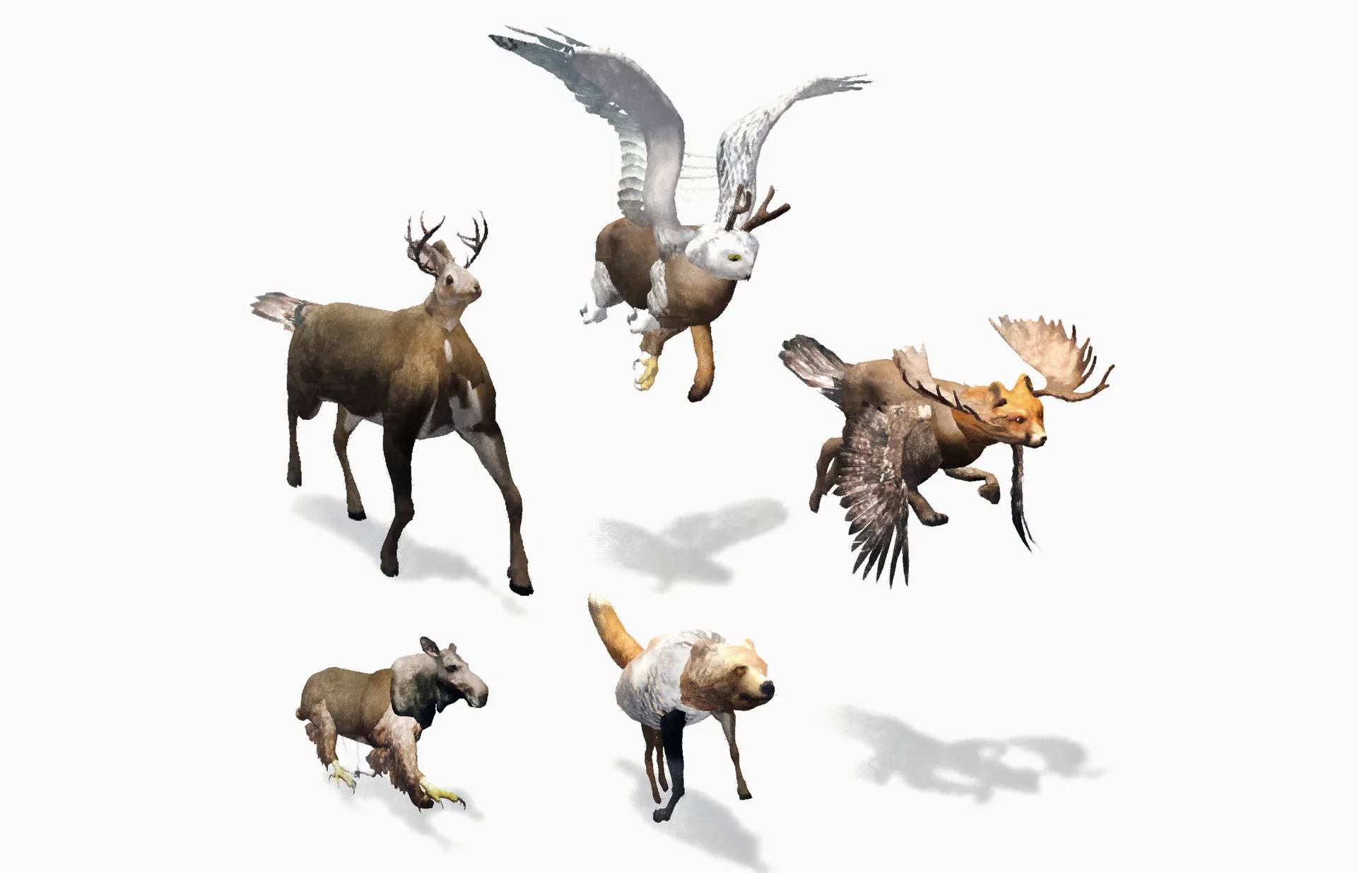 Several animals from Future Fauna