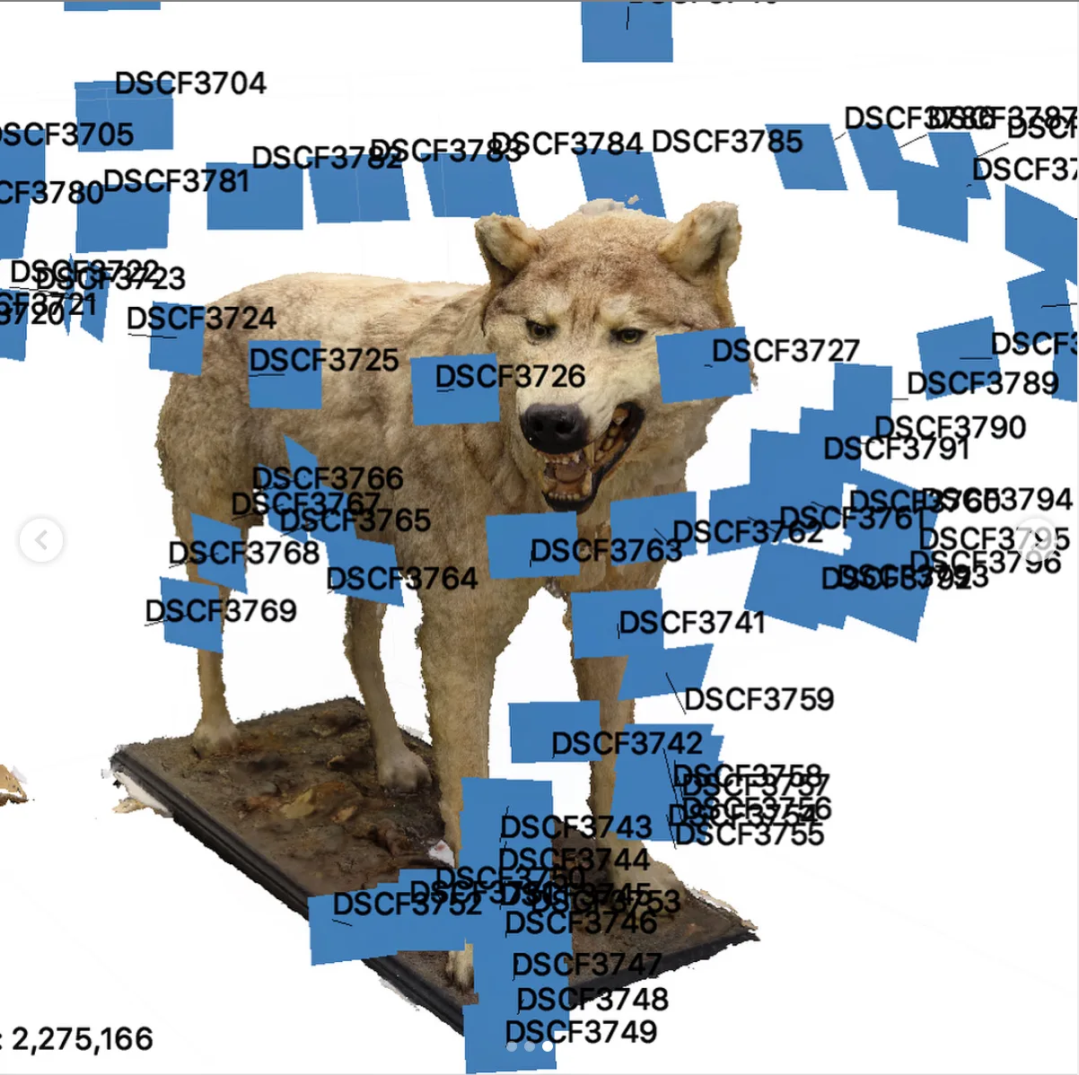 Wolf scan from Future Fauna