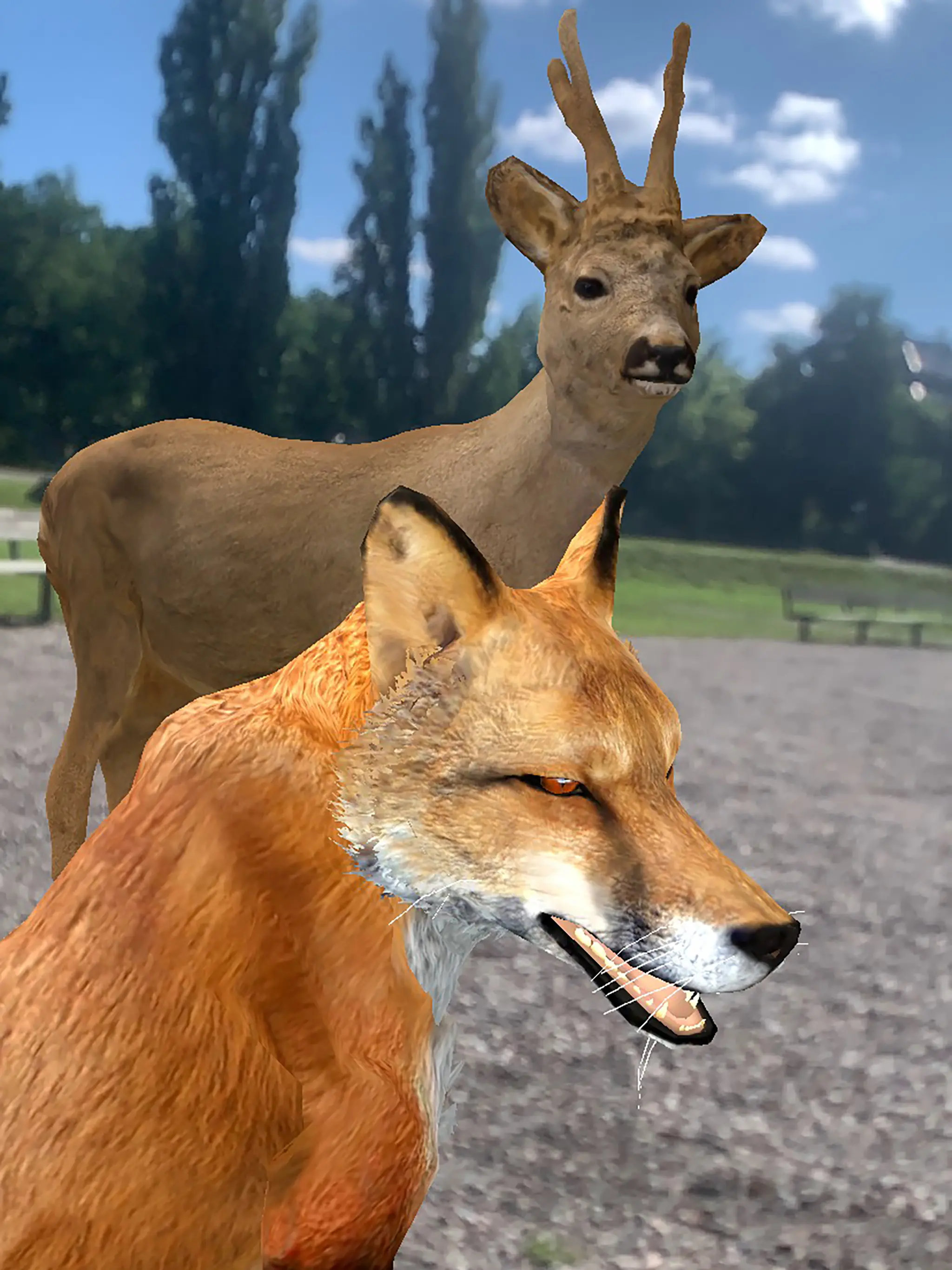 The fox and the deer from The Park Mystery