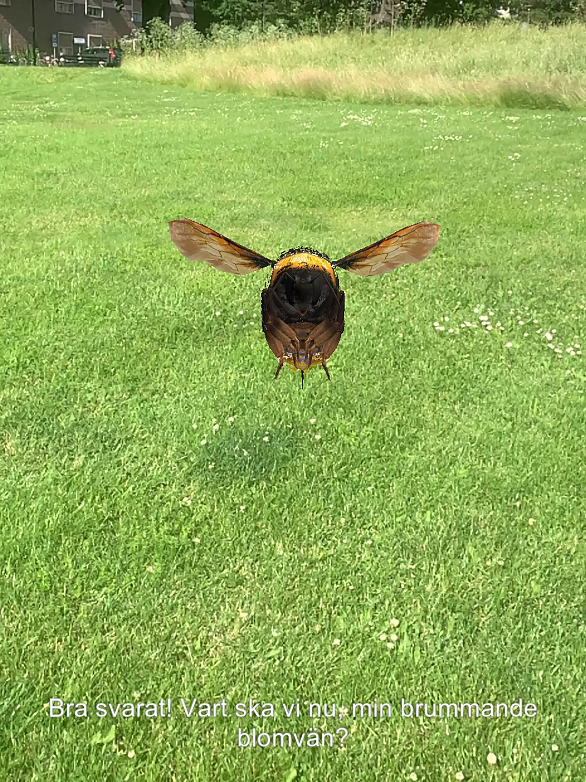 The bumblebee from The Park Mystery