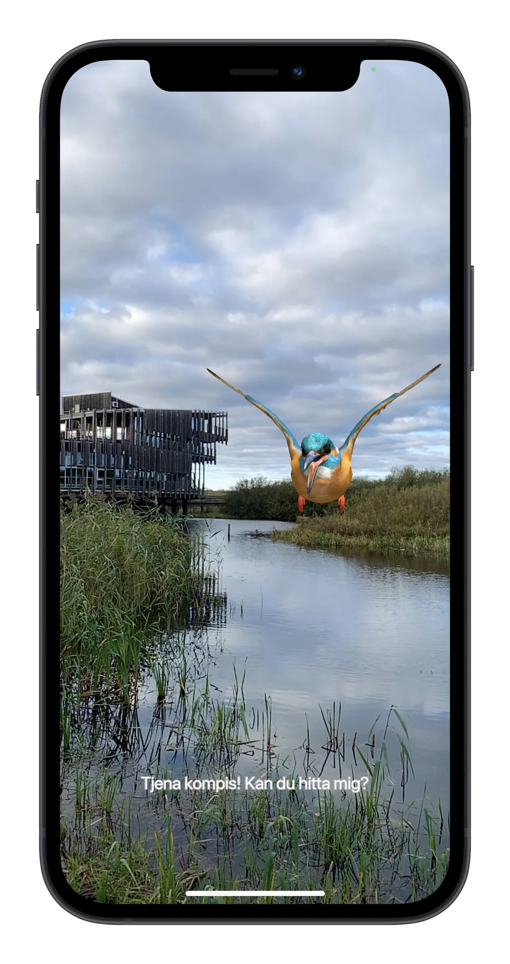 Silurus AR experience on phone