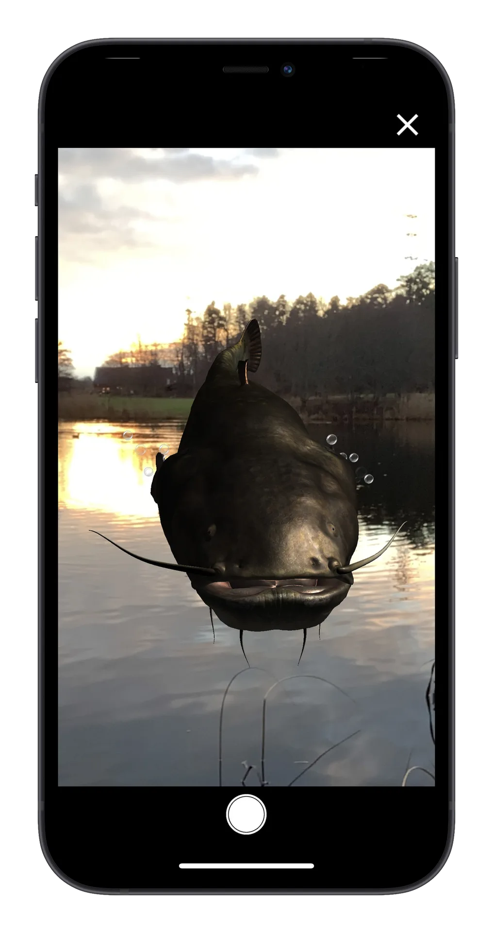 Silurus AR character interaction